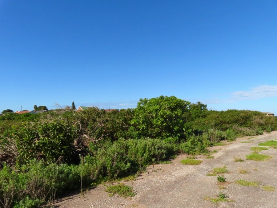 0 Bedroom Property for Sale in Forest Downs Eastern Cape